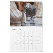 2026 Afrikaanse grijze papegaaienkalender Kalender (Feb 2026)