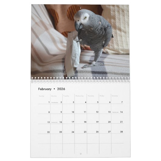 2026 Afrikaanse grijze papegaaienkalender Kalender (Feb 2026)