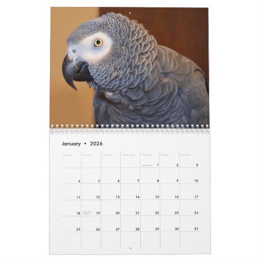 2026 Afrikaanse grijze papegaaienkalender Kalender (Jan 2026)