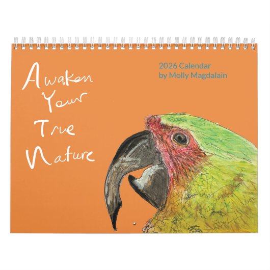 2026 Animal Art Calendar by Molly Magdalain Kalender (Hoes)