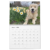 2026 Archie Calendar Kalender (Mar 2026)