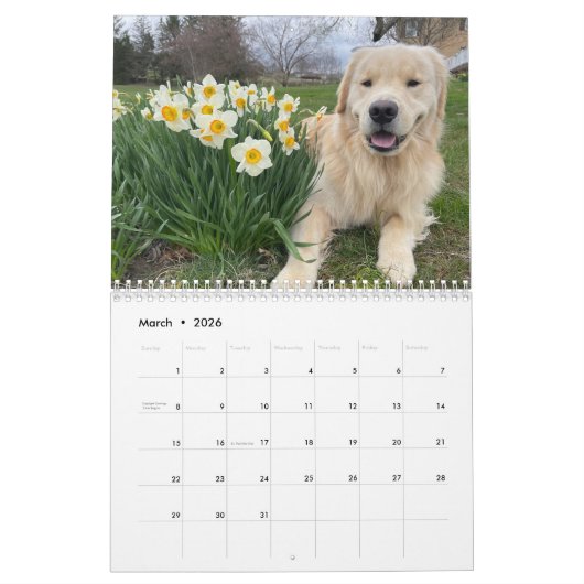2026 Archie Calendar Kalender (Mar 2026)