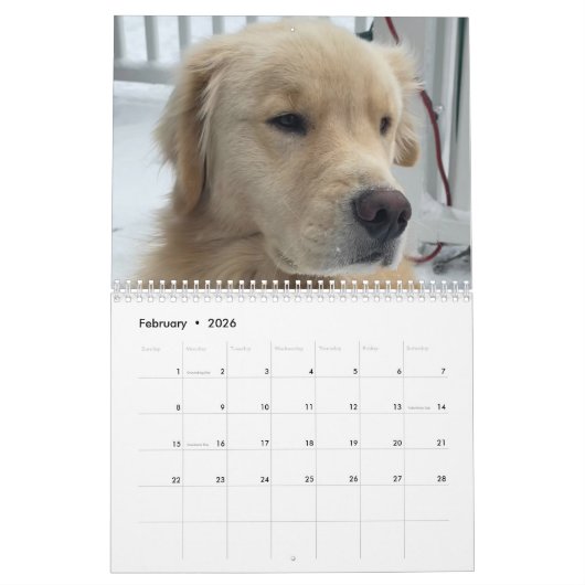 2026 Archie Calendar Kalender (Feb 2026)