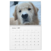 2026 Archie Calendar Kalender (Jan 2027)
