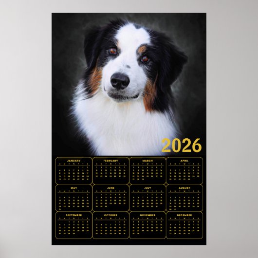 2026 Australian Shepherd Calendar  Poster (Voorkant)