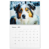 2026 Australian Shepherd Cattle Dogs Aussies Cadea Kalender (Feb 2027)