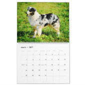 2026 Australian Shepherd Cattle Dogs Aussies Cadea Kalender (Mar 2027)