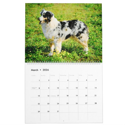 2026 Australian Shepherd Cattle Dogs Aussies Gift Kalender (Mar 2026)