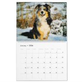 2026 Australian Shepherd Cattle Dogs Aussies Gift Kalender (Jan 2026)