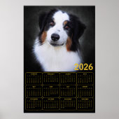 2026 Australische Herderskalender Poster (Voorkant)