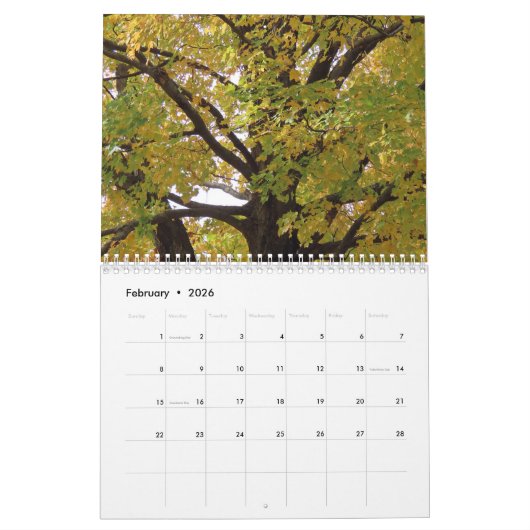 2026 Autumn Vibes All Year Long Kalender (Feb 2026)