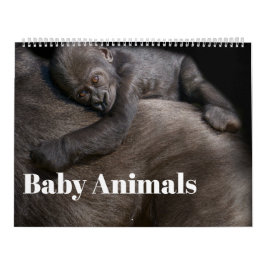 2026 Baby dieren Kalender