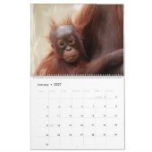 2026 Baby dieren Kalender (Jan 2027)