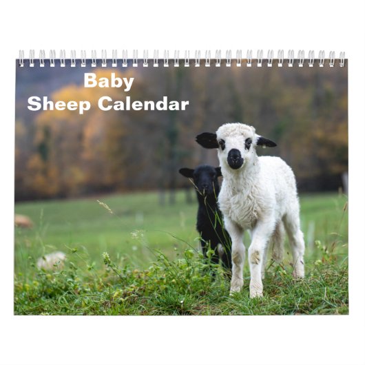 2026 Baby Schaap Lam Kalender (Hoes)