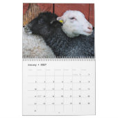 2026 Baby Schaap Lam Kalender (Jan 2027)