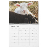 2026 Baby Schaap Lam Kalender (Feb 2027)