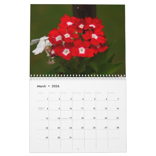 2026 Back Deck Flower Calendar Kalender (Mar 2026)