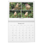 2026 Backyard Birding Calendar Kalender (Jan 2027)