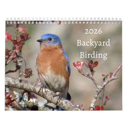 2026 Backyard Birding Calendar Kalender (Hoes)
