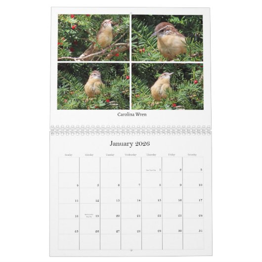 2026 Backyard Birding Calendar Kalender (Jan 2026)