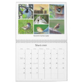 2026 Backyard Birding Calendar Kalender (Mar 2026)