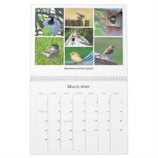 2026 Backyard Birding Calendar Kalender (Mar 2026)