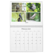 2026 Backyard Birding Calendar Kalender (Feb 2026)
