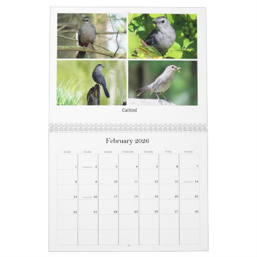 2026 Backyard Birding Calendar Kalender (Feb 2026)