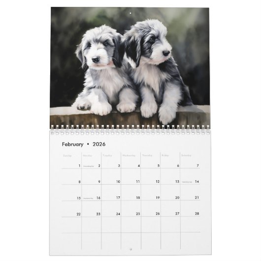 2026 Bearded Collies Kalender (Feb 2026)