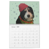 2026 Bernedoodle-foto kalender (Jan 2027)