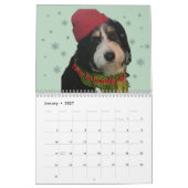 2026 Bernedoodle-foto kalender (Jan 2027)