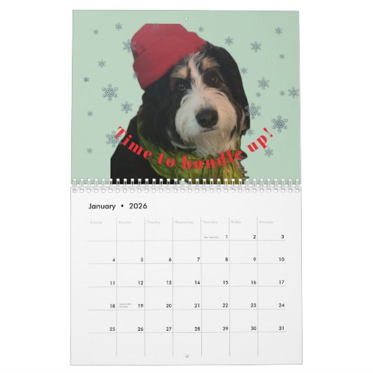 2026 Bernedoodle photo Calendar Kalender (Jan 2026)