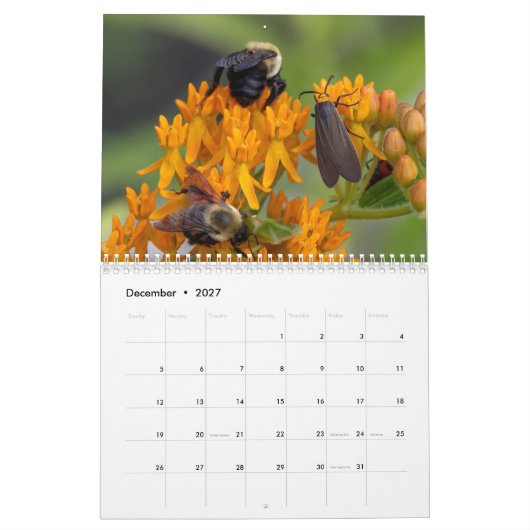 2026 Bestuiversperspectief: Een jaar van vleugels Kalender (Dec 2027)