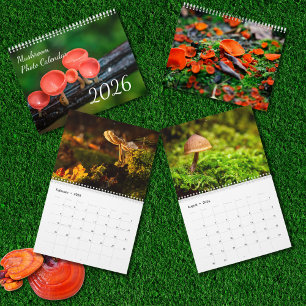 2026 Betoverde Paddenstoelen Foto Kalender