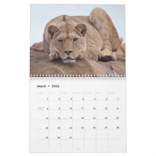 2026 Big Cat Kalender (Mar 2026)