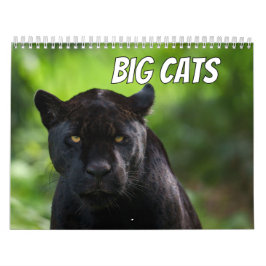 2026 Big Cat Kalender