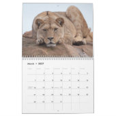 2026 Big Cat Kalender (Mar 2027)