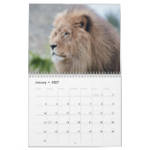 2026 Big Cat Kalender (Jan 2027)