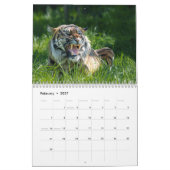 2026 Big Cat Kalender (Feb 2027)