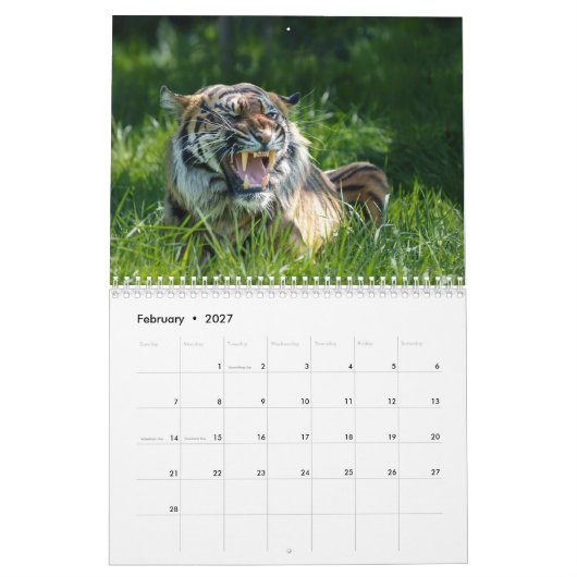 2026 Big Cat Kalender (Feb 2027)