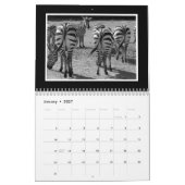 2026 Billen Kalender (Jan 2027)