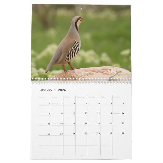 2026 Bird Calendar Kalender (Feb 2026)