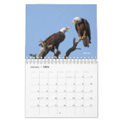 2026 Bird Calendar Kalender (Jan 2026)