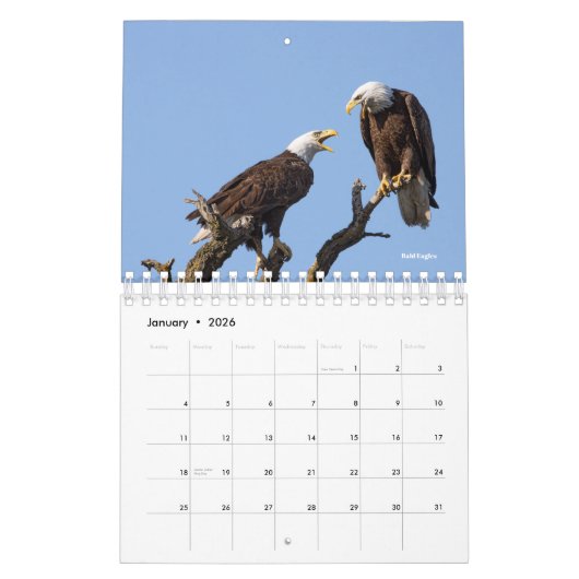 2026 Bird Calendar Kalender (Jan 2026)