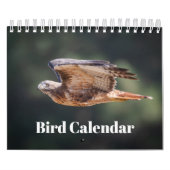 2026 Bird Calendar Kalender (Hoes)