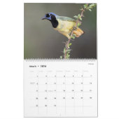 2026 - Birds of the Lower Rio Grande Valley Calend Kalender (Mar 2026)