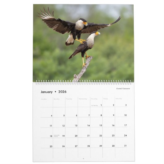 2026 - Birds of the Lower Rio Grande Valley Calend Kalender (Jan 2026)