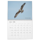2026 Birds of the North: Great Lakes Calendar Kalender (Mar 2026)
