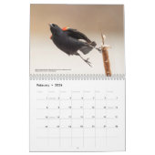 2026 Birds of the North: Great Lakes Calendar Kalender (Feb 2026)
