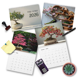 2026 Bonsai Kunst Zen   Minimalistische Fotografie Kalender